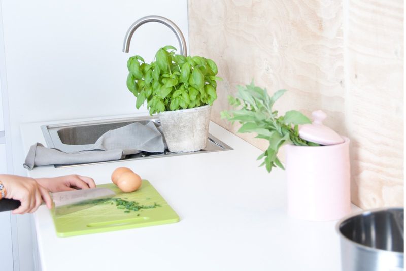 Saliterei Ferienhaus: Saliterei, Küchenzeile